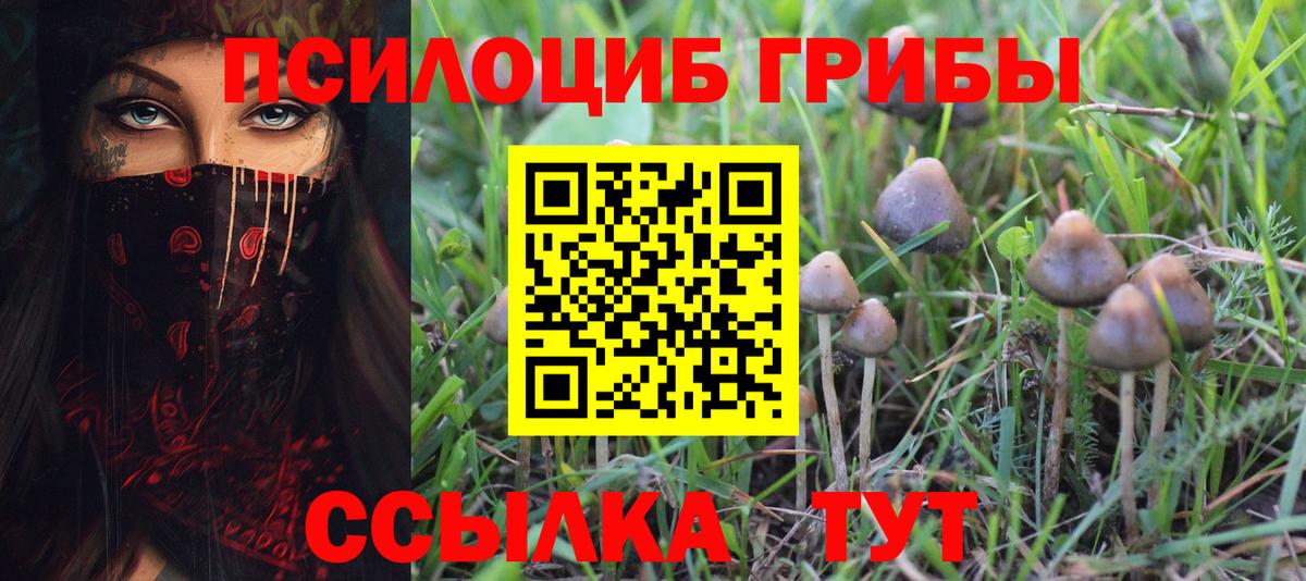 Галлюциногенные грибы GOLDEN TEACHER Нурлат