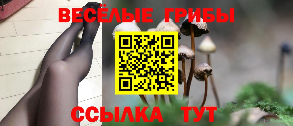КОКАИН  А ПВП СК   Мефедрон кристаллы  Нурлат  Кодеин  Гашиш  MDMA  ГАШИШ  Вход с VPN  Бошки Шишки 