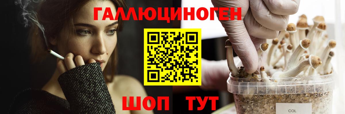 Псилоцибиновые грибы Magic Shrooms  Вход с VPN  Нурлат 
